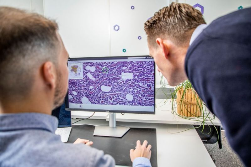 Aiosyn secures €2.4M to scale AI-powered cancer diagnostics